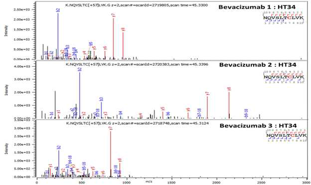 Bevacizumab 단백질 H:T34 (Cys373) peptide의 확인