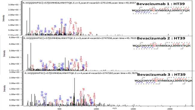 Bevacizumab 단백질 H:T39 (Cys431) peptide의 확인