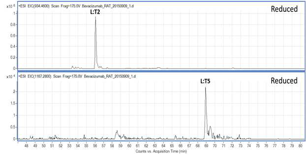 Bevacizumab 시료에서 확인되는 L:T2 및 L:T5 peptide (XIC)