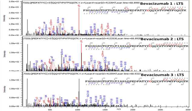 Bevacizumab 단백질 L:T5 (Cys88) peptide의 확인