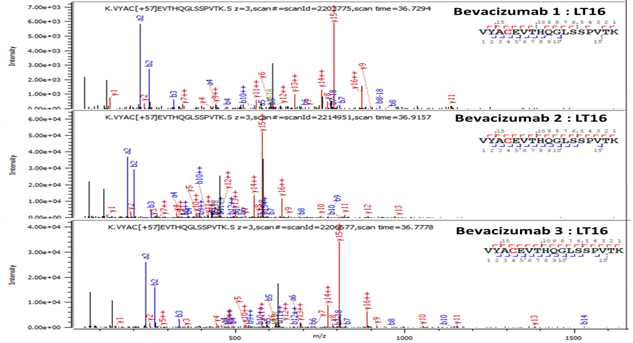 Bevacizumab 단백질 L:T16 (Cys194) peptide의 확인