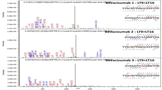 Bevacizumab 단백질 L:Cys134-L:Cys194 disulfide bond의 확인