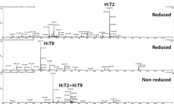 Bevacizumab 에서 확인되는 H:T2 및 H:T9 peptide (MS1)