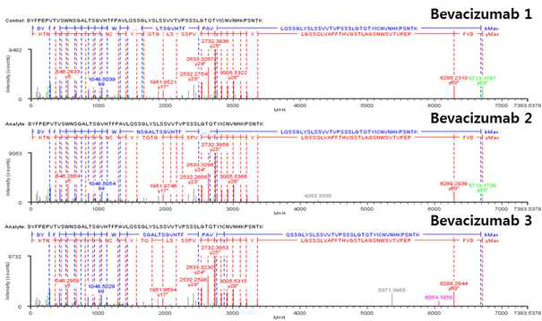 Bevacizumab 단백질 H:T13 (Cys206) peptide의 확인