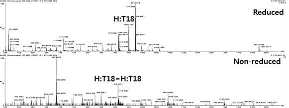 Bevacizumab 시료에서 확인되는 H:T18 peptide (MS1)