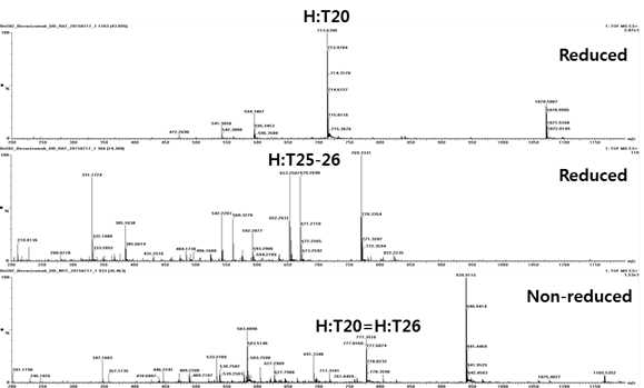 Bevacizumab 시료에서 확인되는 H:T20 및 H:T25-26 peptide (MS1)