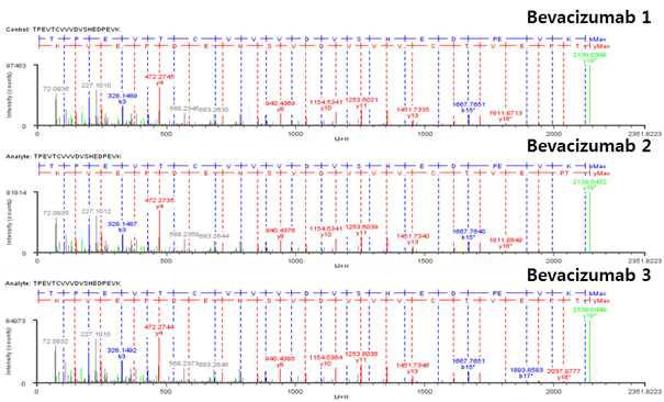 Bevacizumab 단백질 H:T20 (Cys267) peptide의 확인