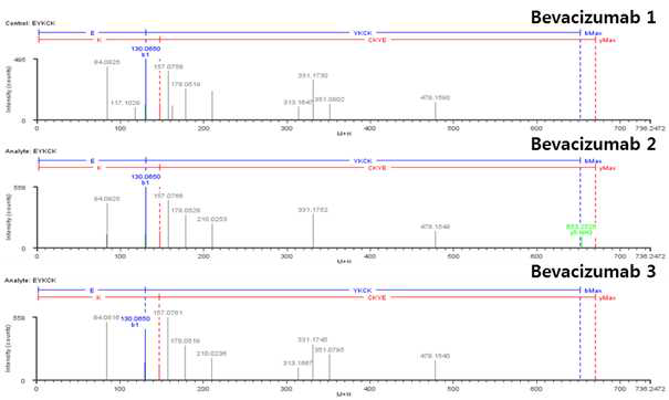 Bevacizumab 단백질 H:T25-26 (Cys327) peptide의 확인