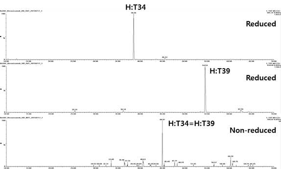 Bevacizumab 시료에서 확인되는 H:T34 및 H:T39 peptide (XIC)
