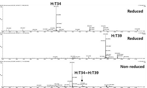 Bevacizumab 시료에서 확인되는 H:T34 및 H:T39 peptide (MS1)