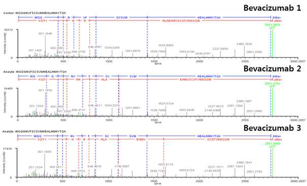 Bevacizumab 단백질 H:T39 (Cys431) peptide의 확인