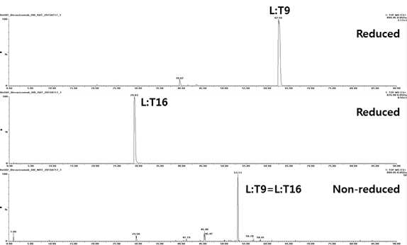 Bevacizumab 시료에서 확인되는 L:T9 및 L:T16 peptide (XIC)