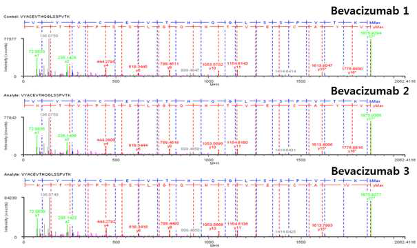 Bevacizumab 단백질 L:T16 (Cys194) peptide의 확인