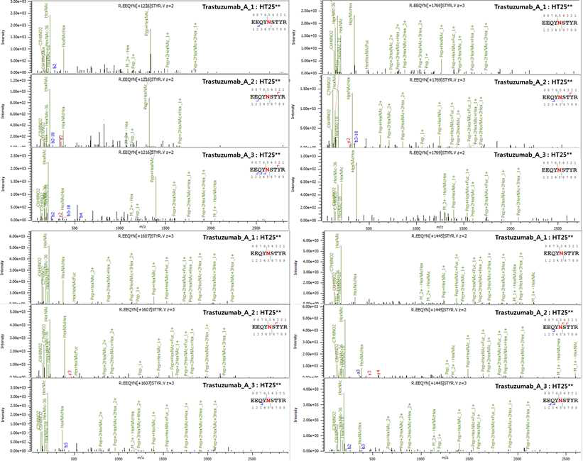 Trastuzumab 단백질 HT25**-25** peptide의 fragmentation (Glycosylation G0F, G0F—GlcNAc, G2F, G0 N)