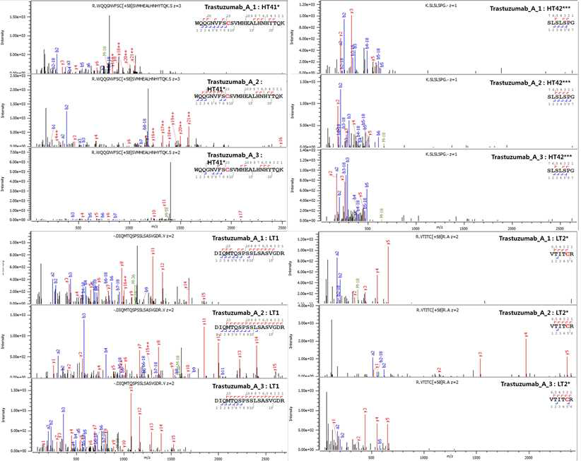 Trastuzumab 단백질 HT41*-LT2* peptide의 fragmentation