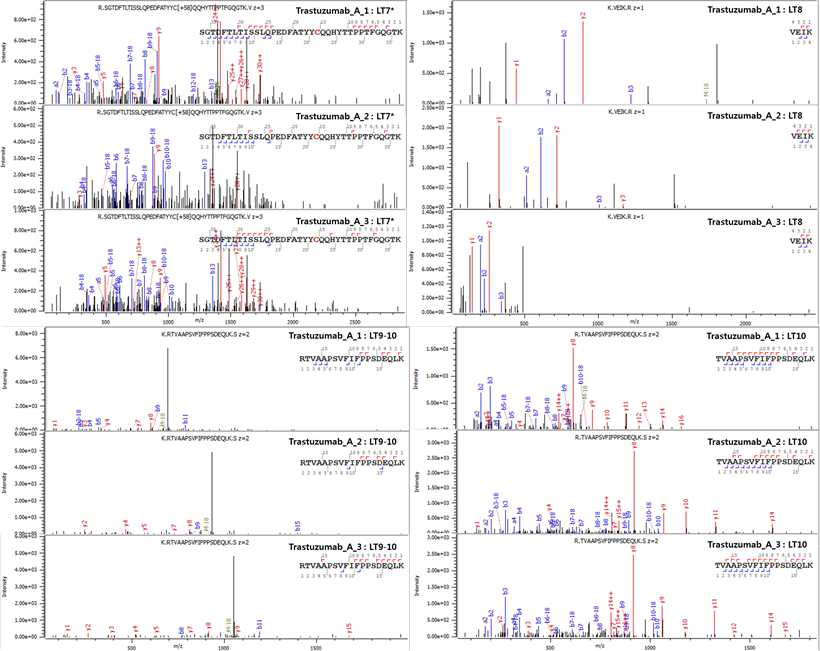 Trastuzumab 단백질 LT7*-10 peptide의 fragmentation