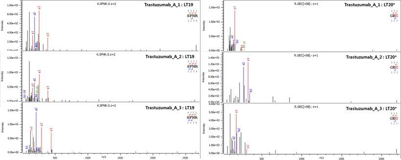 Trastuzumab 단백질 LT19-20* peptide의 fragmentation