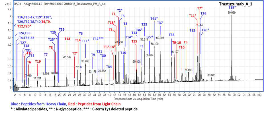 Agilent UPLC/MS를 이용한 Trastuzumab 단백질의 Peptide map 분석