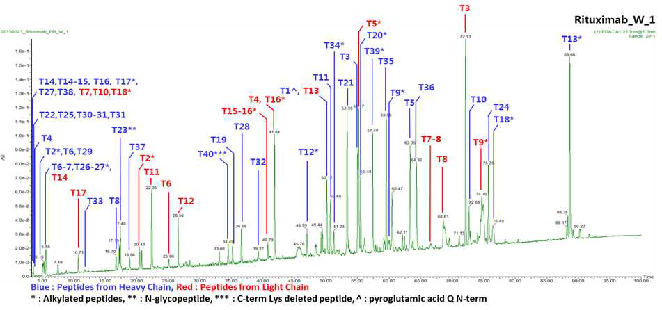 Waters UPLC/MS를 이용한 Rituximab 단백질의 Peptide map 분석