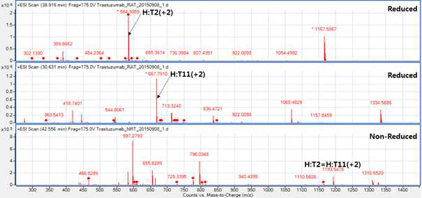 Trastuzumab 에서 확인되는 H:T2 및 H:T11 peptide (MS1)