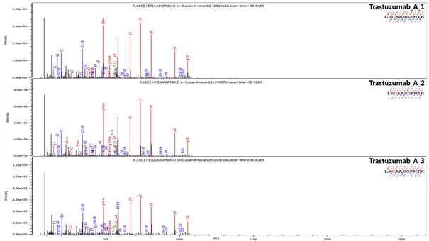 Trastuzumab 단백질 H:T2 (Cys22) peptide의 확인