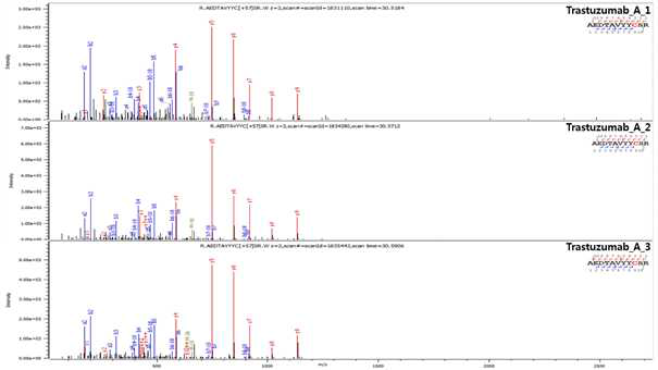 Trastuzumab 단백질 H:T11 (Cys96) peptide의 확인