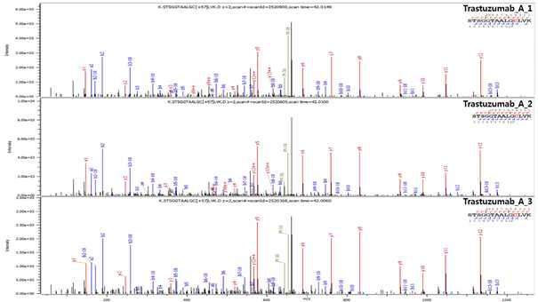 Trastuzumab 단백질 H:T14 (Cys147) peptide의 확인