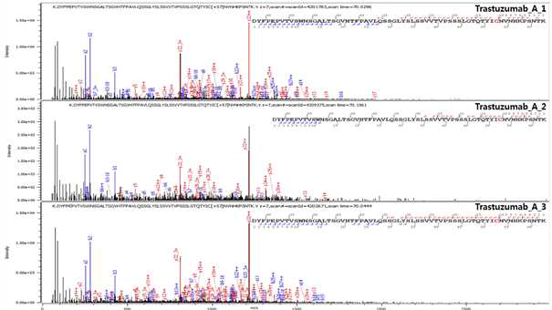 Trastuzumab 단백질 H:T15 (Cys203) peptide의 확인