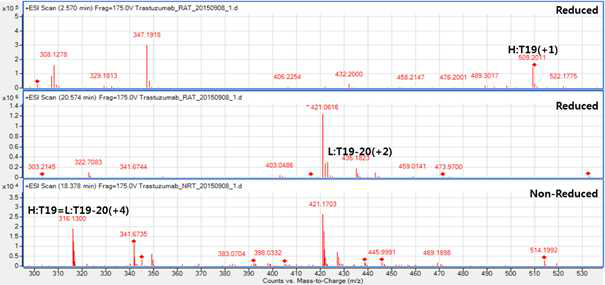 Trastuzumab 에서 확인되는 H:T19, L:T19-20 및 H:T19=L:T20 peptide (MS1)