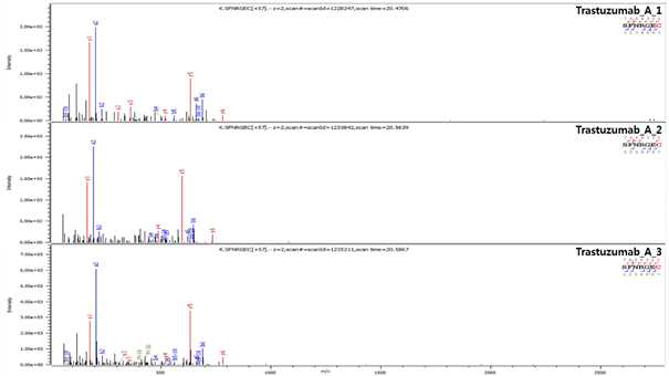 Trastuzumab 단백질 L:T19-20 (Cys214) peptide의 확인