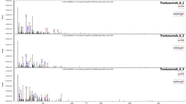 Trastuzumab 단백질 H:T19=L:T19-20 disulfide bond의 확인