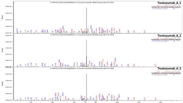 Trastuzumab 단백질 H:T22 (Cys264) peptide의 확인