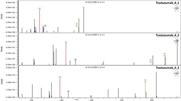 Trastuzumab 단백질 H:T28 (Cys324) peptide의 확인