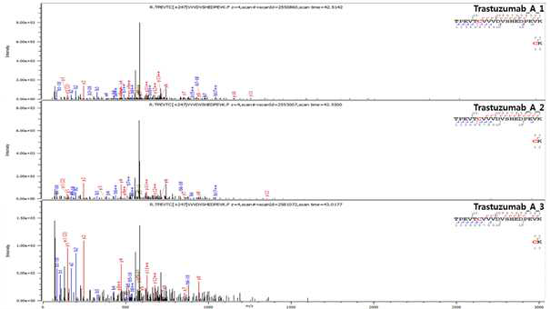 Trastuzumab 단백질 H:Cys264=H:Cys324 disulfide bond의 확인