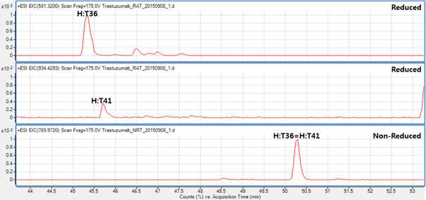Trastuzumab 시료에서 확인되는 H:T36 및 H:T41 peptide (XIC)