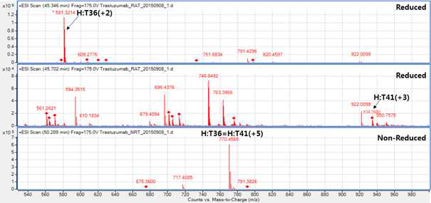 Trastuzumab 시료에서 확인되는 H:T36 및 H:T41 peptide (MS1)