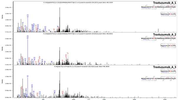 Trastuzumab 단백질 H:Cys370=H:Cys428 disulfide bond의 확인