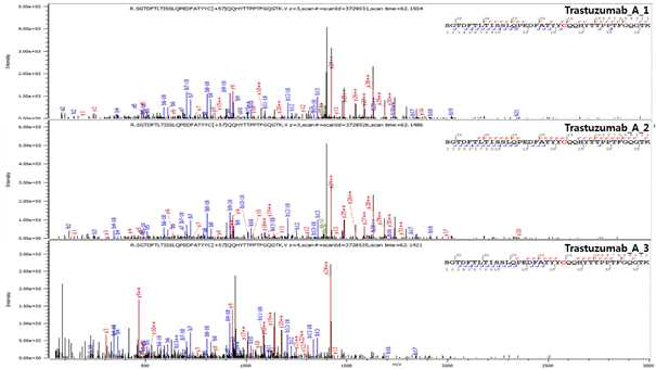 Trastuzumab 단백질 L:T7 (Cys88) peptide의 확인