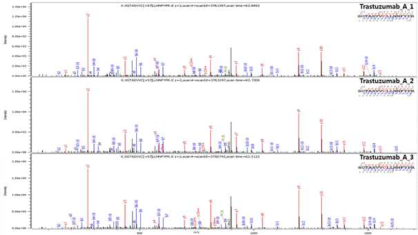 Trastuzumab 단백질 L:T11 (Cys134) peptide의 확인