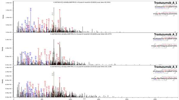 Trastuzumab 단백질 L:Cys134-L:Cys194 disulfide bond의 확인