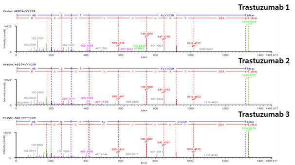 Trastuzumab 단백질 H:T11 (Cys96) peptide의 확인