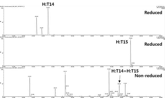 Trastuzumab 에서 확인되는 H:T14 및 H:T15 peptide (XIC)
