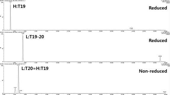 Trastuzumab 에서 확인되는 H:T19, L:T19-20 및 H:T19=L:T20 peptide(XIC)
