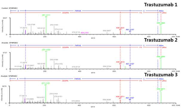 Trastuzumab 단백질 L:T19-20 (Cys214) peptide의 확인