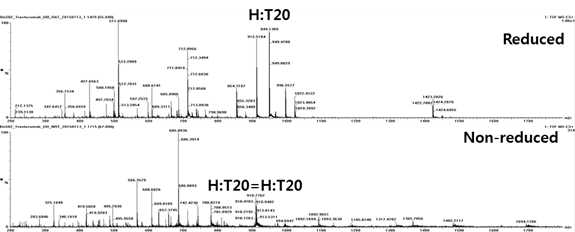 Trastuzumab 시료에서 확인되는 H:T20 peptide (MS1)