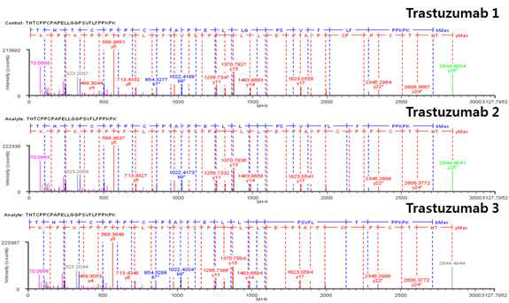Trastuzumab 단백질 H:T20 (Cys229, Cys232) peptide의 확인