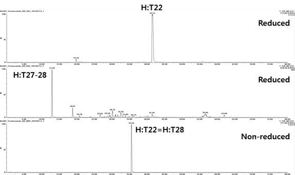 Trastuzumab 시료에서 확인되는 H:T22 및 H:T27-28 peptide(XIC)