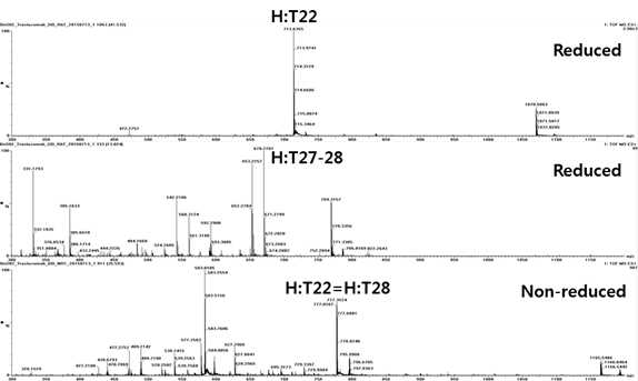 Trastuzumab 시료에서 확인되는 H:T22 및 H:T27-28 peptide (MS1)