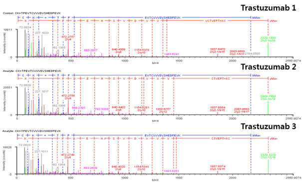 Trastuzumab 단백질 H:Cys264=H:Cys324 disulfide bond의 확인