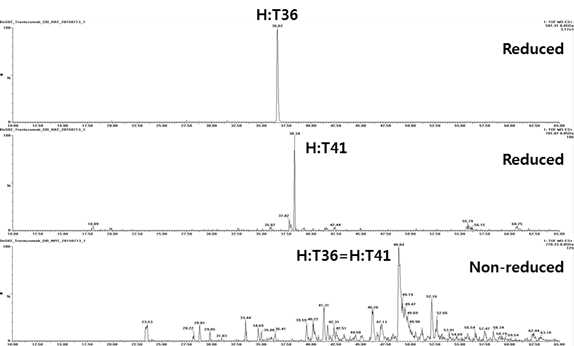 Trastuzumab 시료에서 확인되는 H:T36 및 H:T41 peptide (XIC)